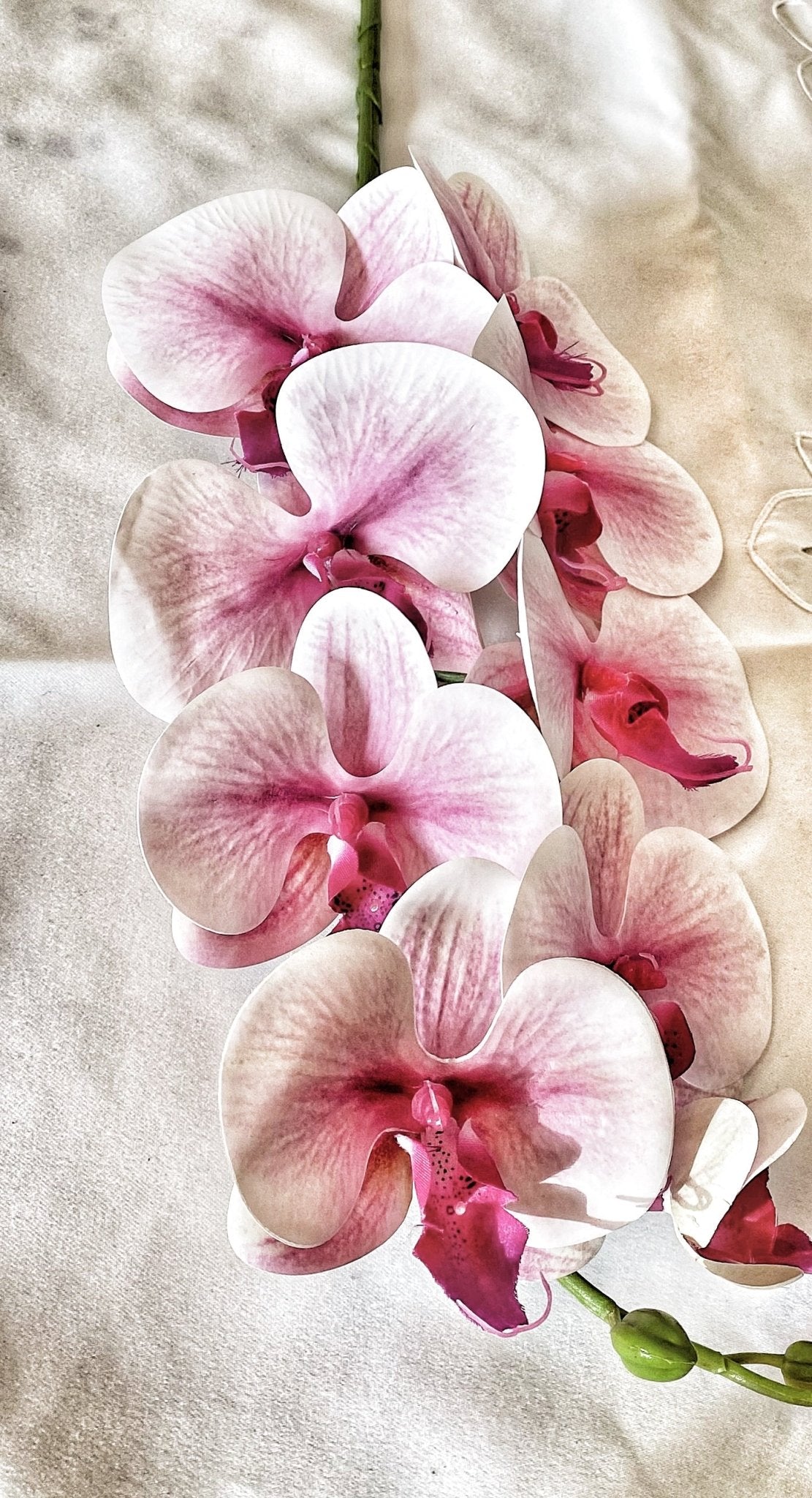 Artificial Orchid, Real Touch Orchids, Variegated Pink Orchid, Phalaenopsis Orchid Flower Artificial Flowers Pink Flowers, Gift for Her - Floralific