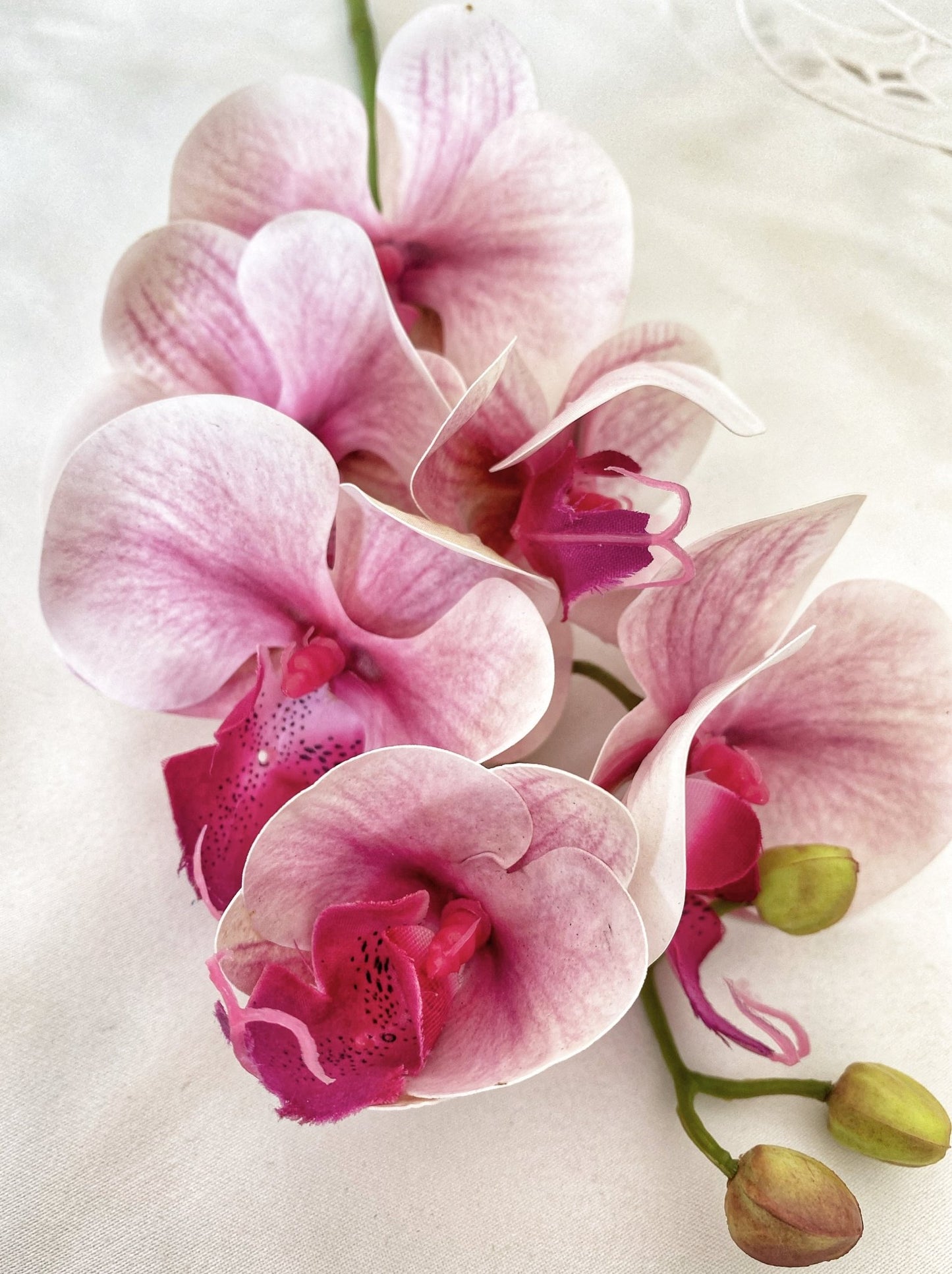 Artificial Orchid, Real Touch Orchids, Variegated Pink Orchid, Phalaenopsis Orchid Flower Artificial Flowers Pink Flowers, Gift for Her - Floralific