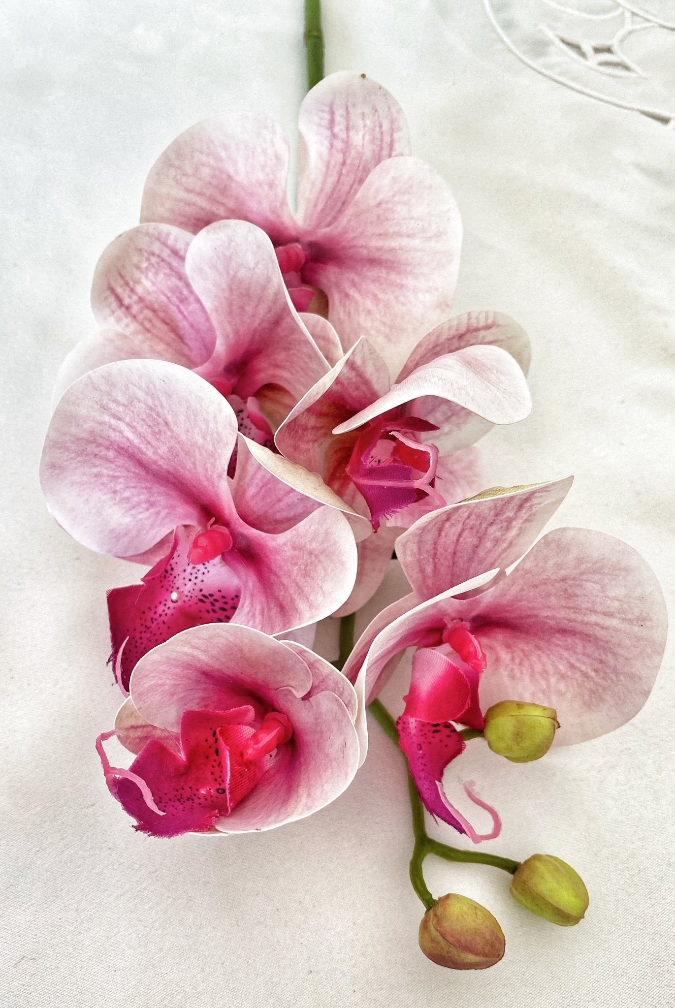 Artificial Orchid, Real Touch Orchids, Variegated Pink Orchid, Phalaenopsis Orchid Flower Artificial Flowers Pink Flowers, Gift for Her - Floralific