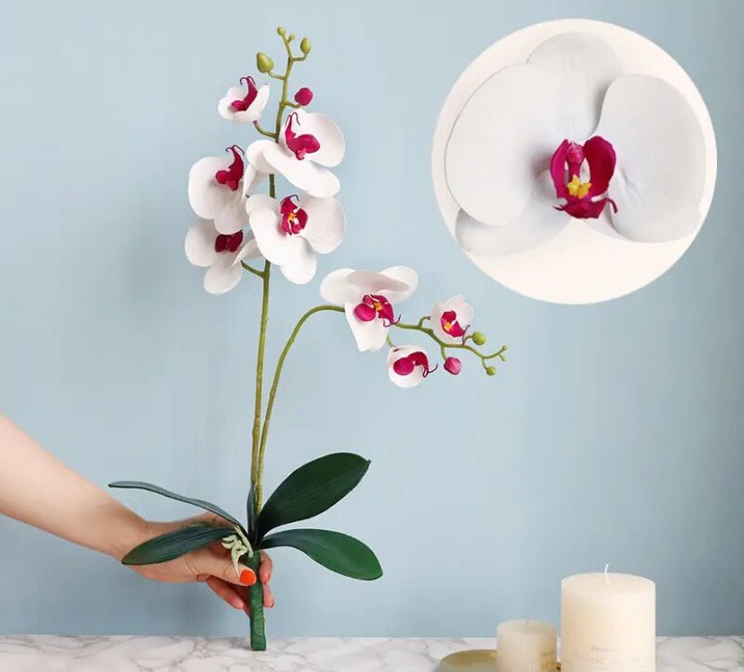 Artificial White & Pink Orchid, Orchid Plant, Orchid Flowers and Leaves for Orchid Plant, White Flowers Gift for Her Real Look Faux - Elegantly You